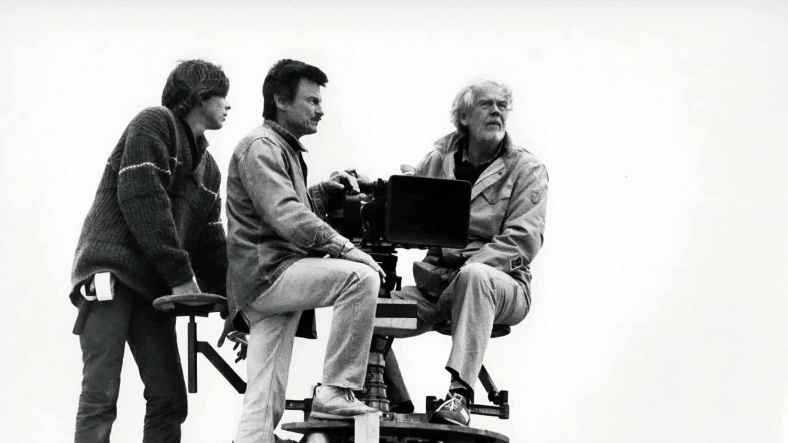 شجرة تاركوفسكي التي ماتت ثم أزهرت على شواطئ غوتلاند صوره عادية